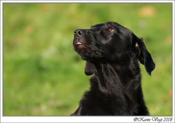 Over ons 12416348773-large-jewel20neede